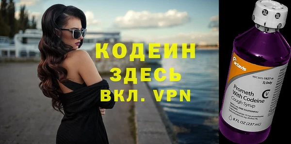 прущие грибы Армянск