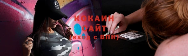 твердый Аркадак