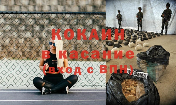 прущие грибы Армянск