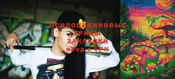 твердый Аркадак