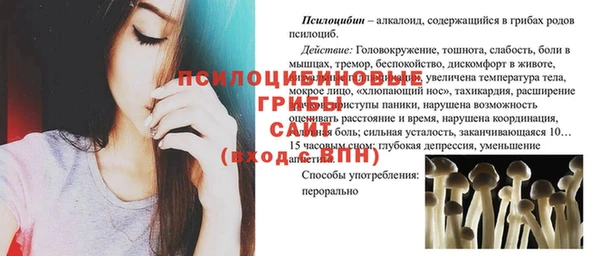 твердый Аркадак